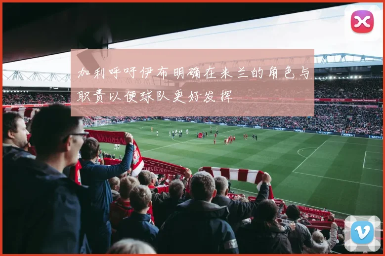 加利呼吁伊布明确在米兰的角色与职责以便球队更好发挥