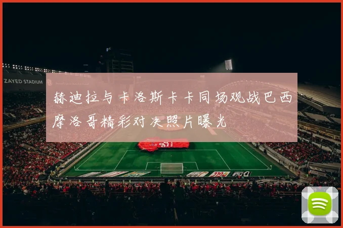 赫迪拉与卡洛斯卡卡同场观战巴西摩洛哥精彩对决照片曝光