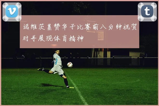诺维茨基赞华子比赛前八分钟祝贺对手展现体育精神