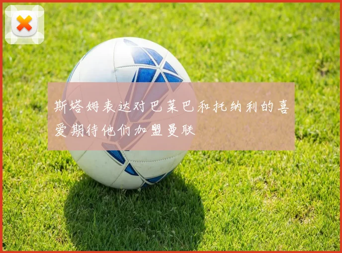 斯塔姆表达对巴莱巴和托纳利的喜爱期待他们加盟曼联